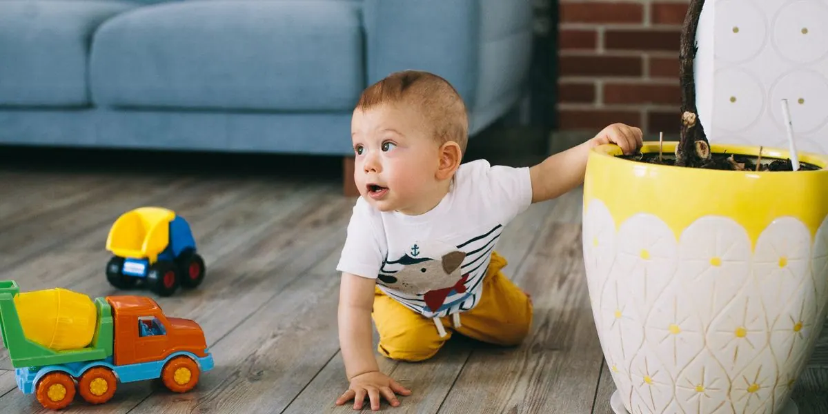 Baby 9 Maanden: Ontwikkeling, Kruipen & Mijlpalen
